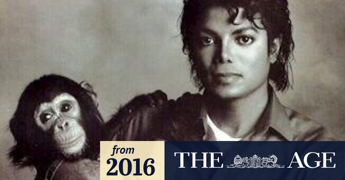 Michael Jackson's chimpanzee Bubbles gets a biopic from Dan Harmon